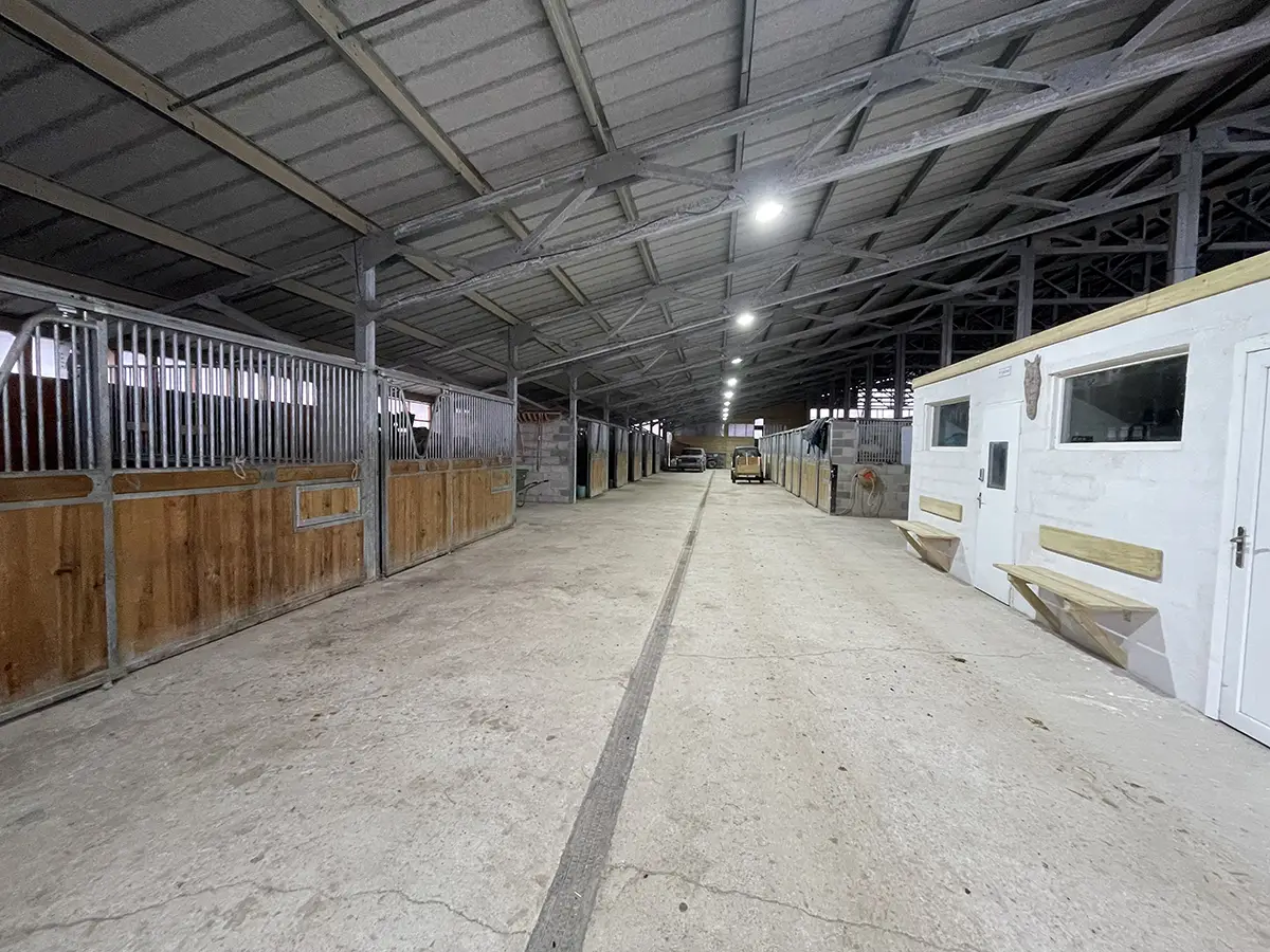 ecurie galvanisee box chevaux batiment charpente uniservice